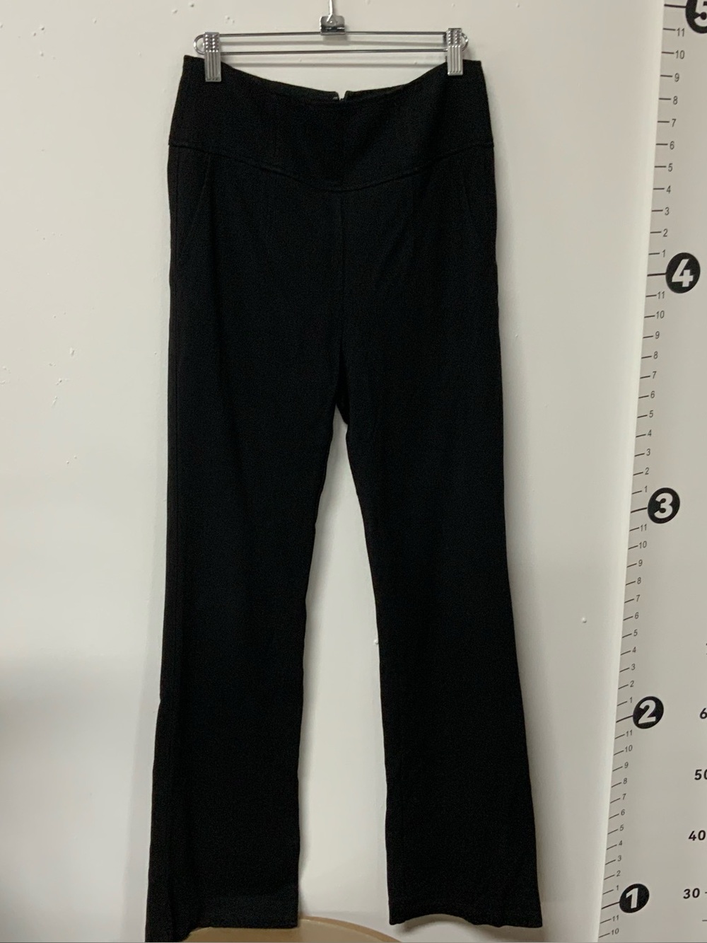 CAbi pants